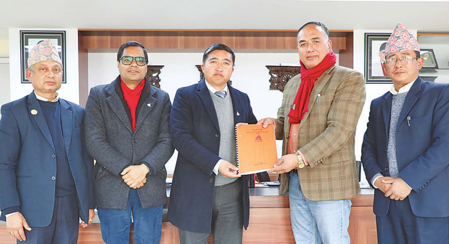 Task force suggests cricket body scrap Nepal T20 deals with Seven3Sports