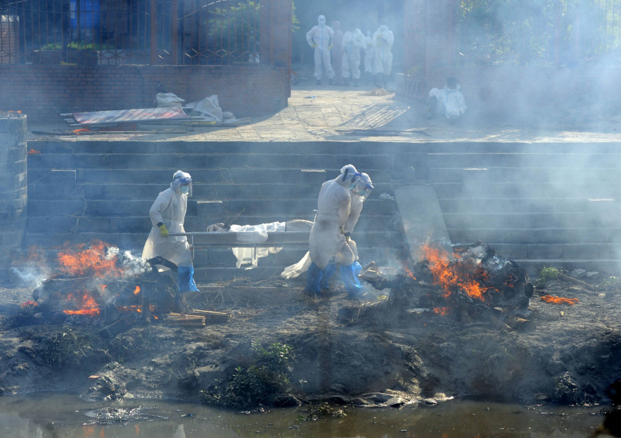 The pandemic and its woes