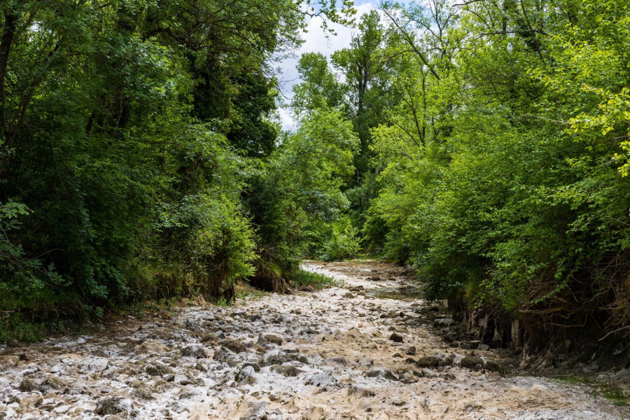 The quest for rain