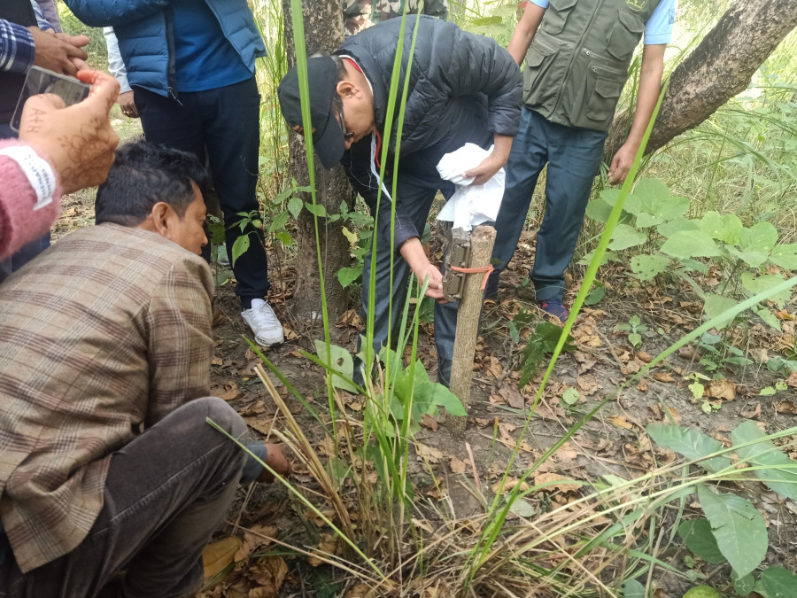 Annual tiger counting starts in Shuklaphanta