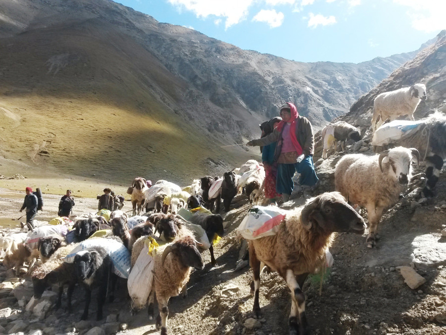 Tibet border closure hits livelihoods of Nepalis in mountain villages