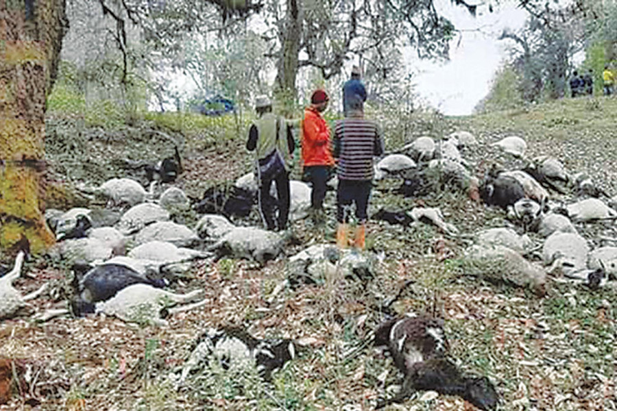 Lightning strikes claim lives in east Nepal every year