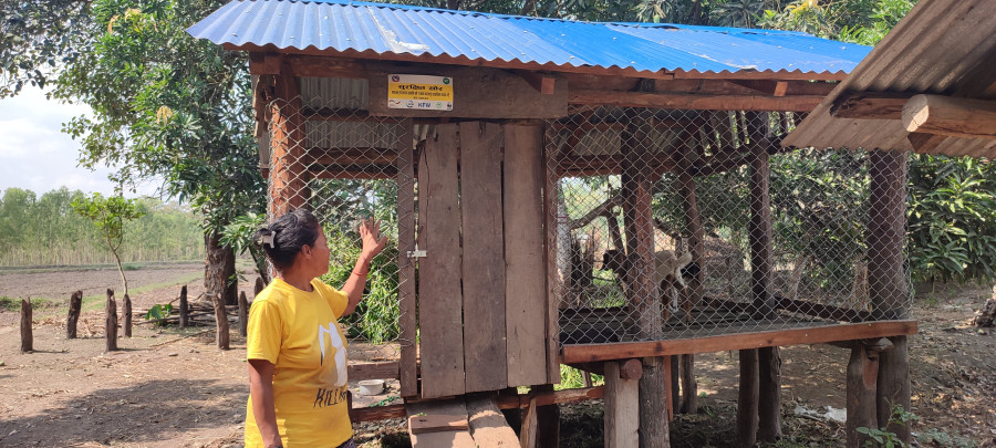 Two national parks aid locals protect livestock from wildlife