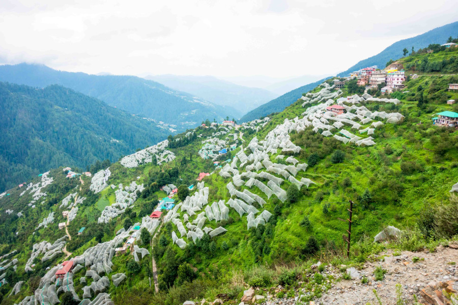 Nepalis finding their fortune in Shimla