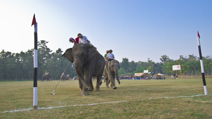 Elephant festival returns to Sauraha after three years