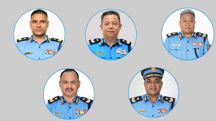 Transfer of top cops probing refugee scam rings alarm bells