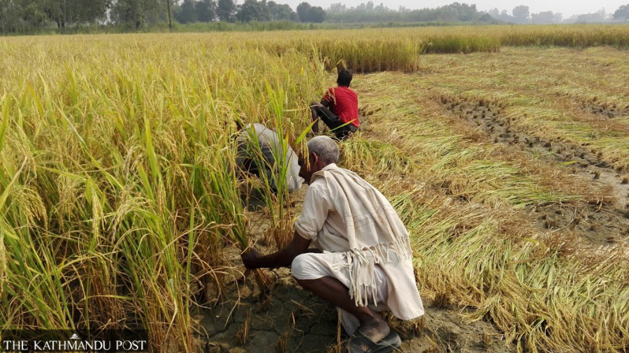 Experts urge authorities to prepare for the worst of climate disasters