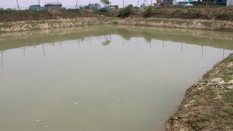 Girl dies after drowning in a pond in West Nawalparasi