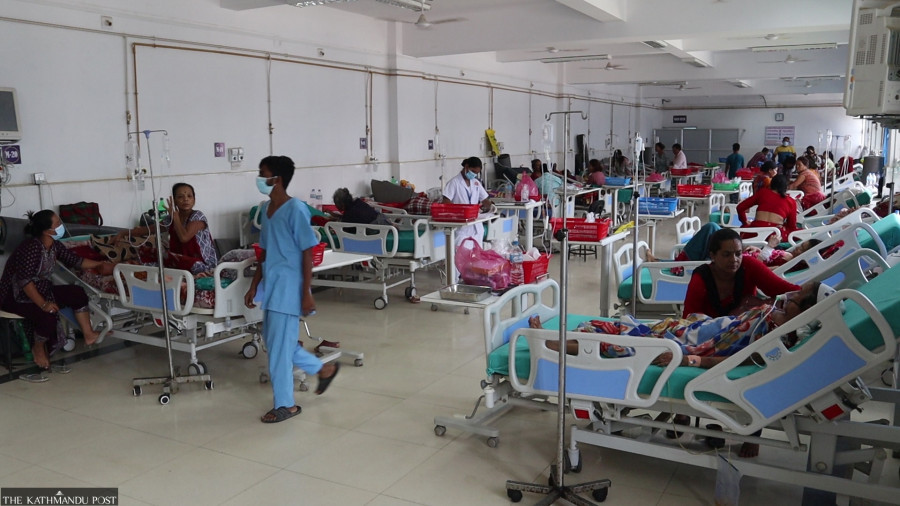 Comorbid people at high risk of dying from dengue infection