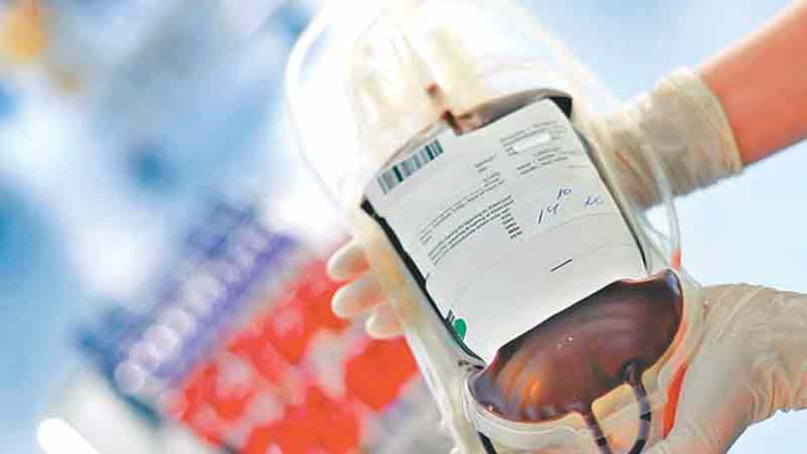 Central Blood Transfusion Service to urge local level to run blood donation campaigns