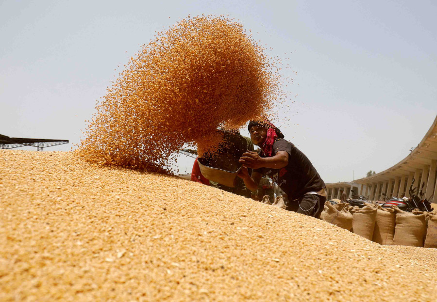 85 percent of flour mills shut after India restricted wheat export