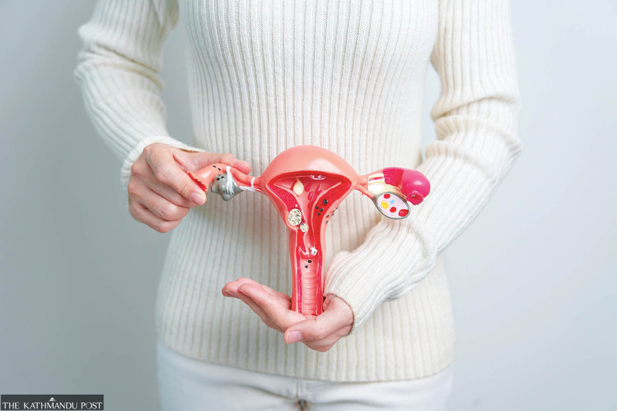 Free screening of cervical cancer to be limited to a few local units of 11 districts due to insufficient funds