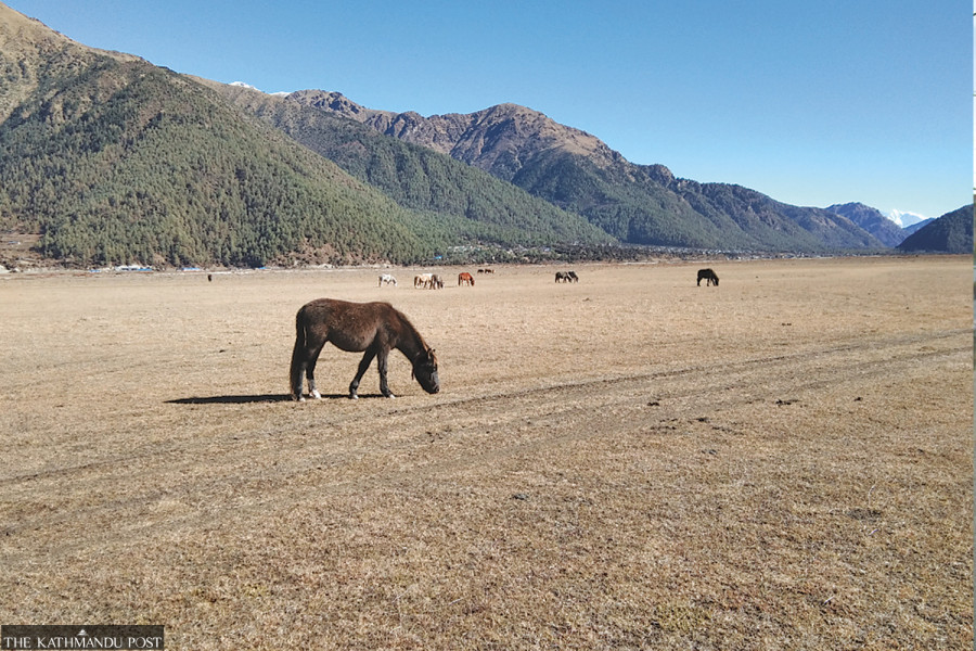 Nepal’s only hunting reserve is back in business