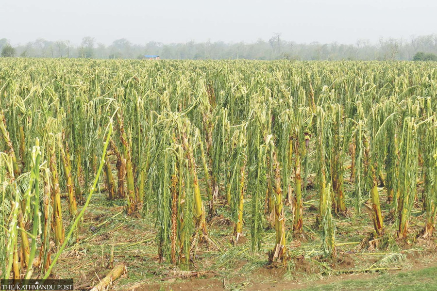Can better insurance buffer Nepali farmers against climate change?