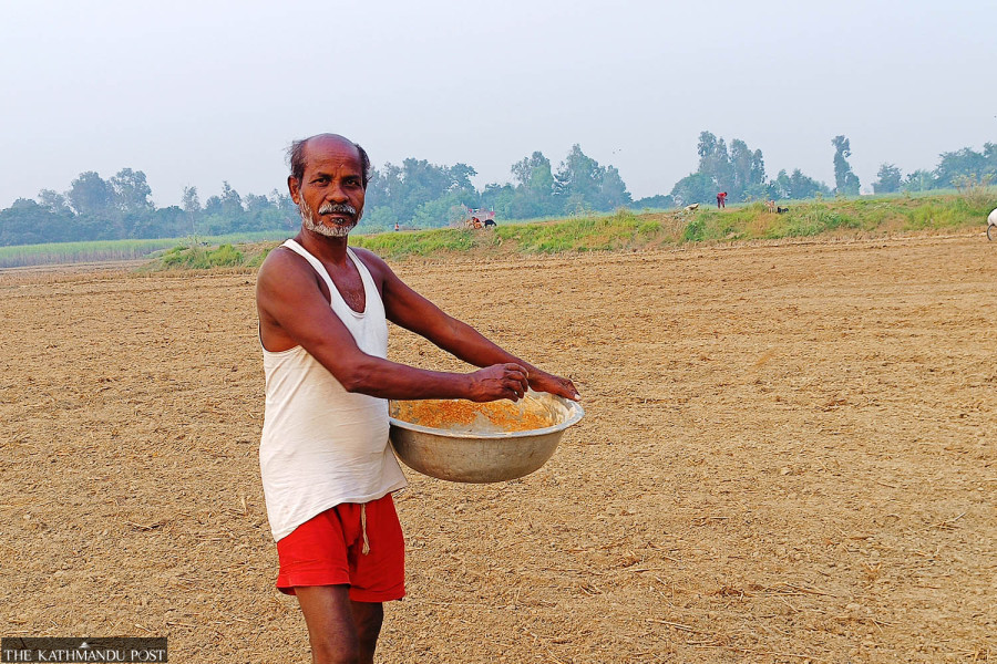 Fertiliser shortage hits farmers battling low summer yield