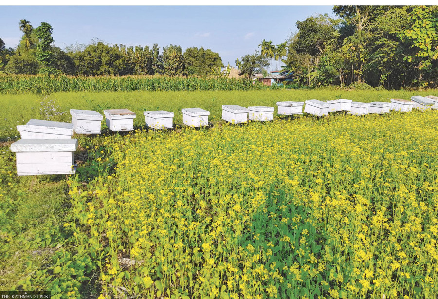 NTIS fails to prop up export of high-value products