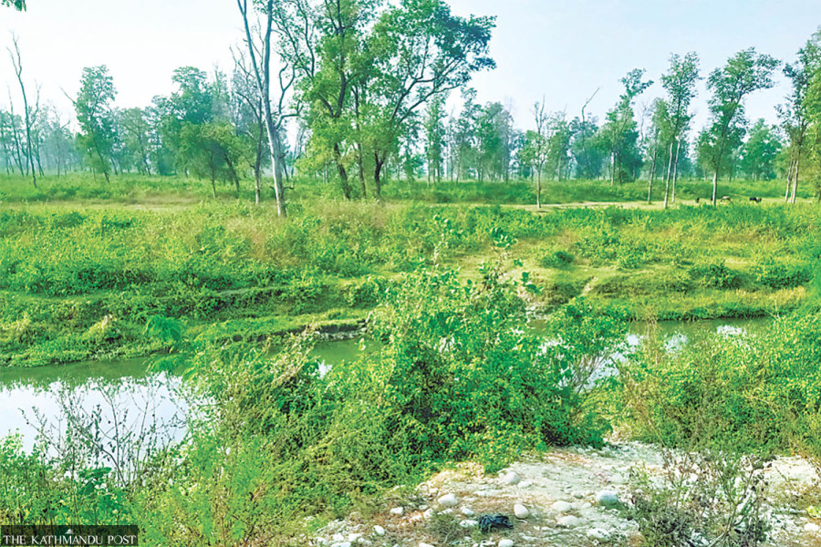 Dodhara Chandani dry port project gets land clearance