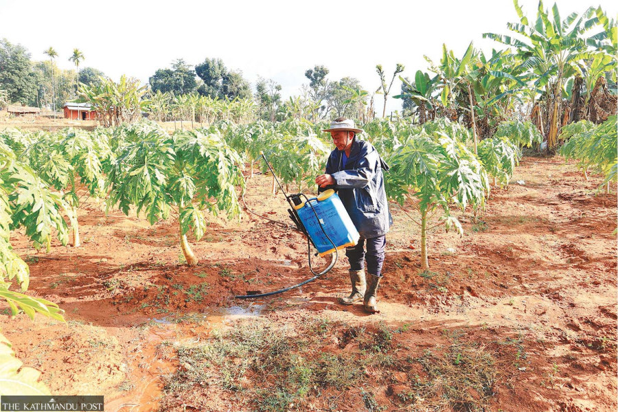 Nepal’s unemployment rate rises to 12.6 percent, survey says