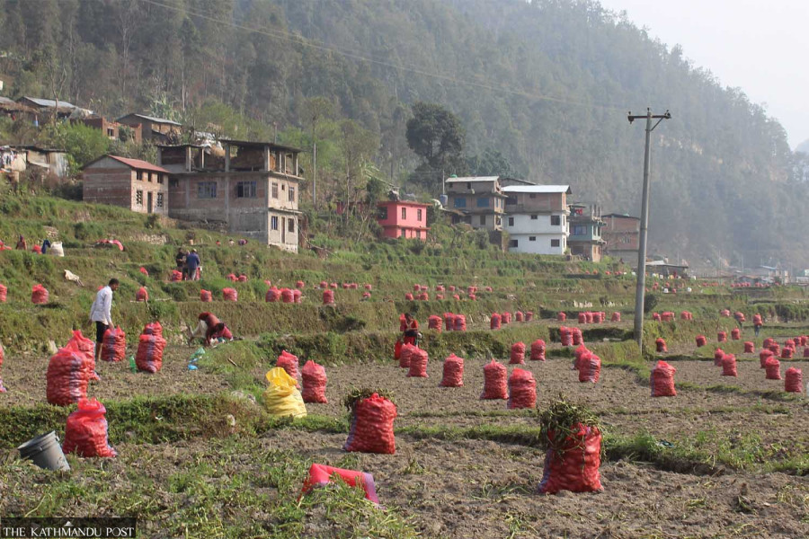 Vegetable prices soar above Rs100 per kg