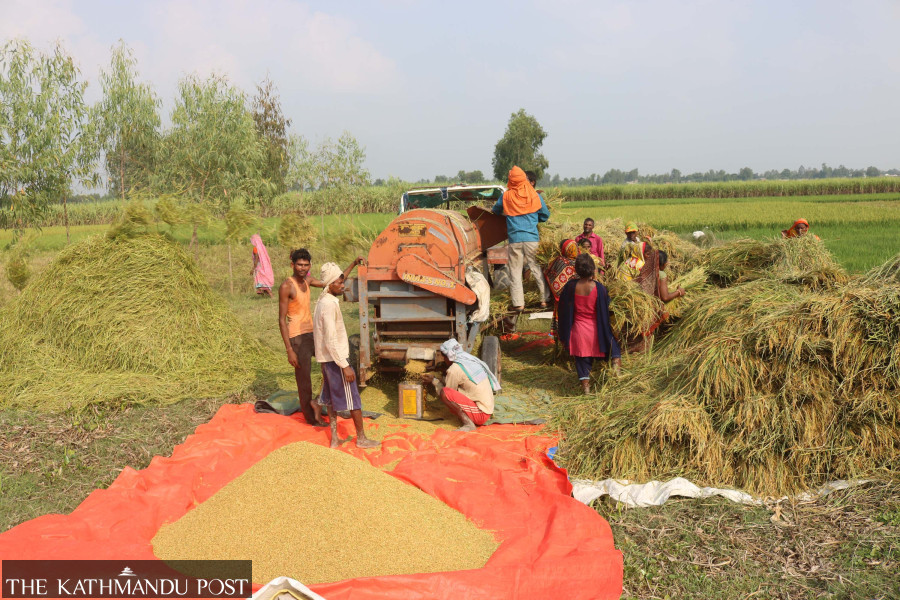 India’s restrictions make rice pricier in Nepal, despite record harvest