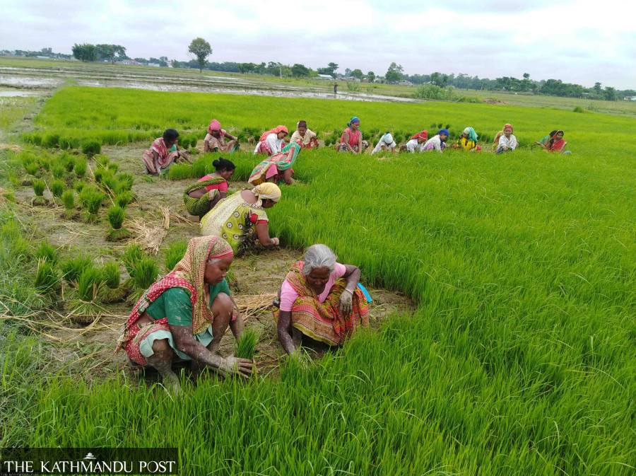 Report shows Nepal ahead in closing gender gap. Ground reality is different