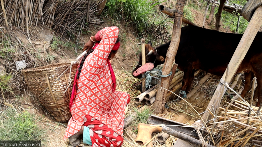 Government neglect leaves villages without piped water