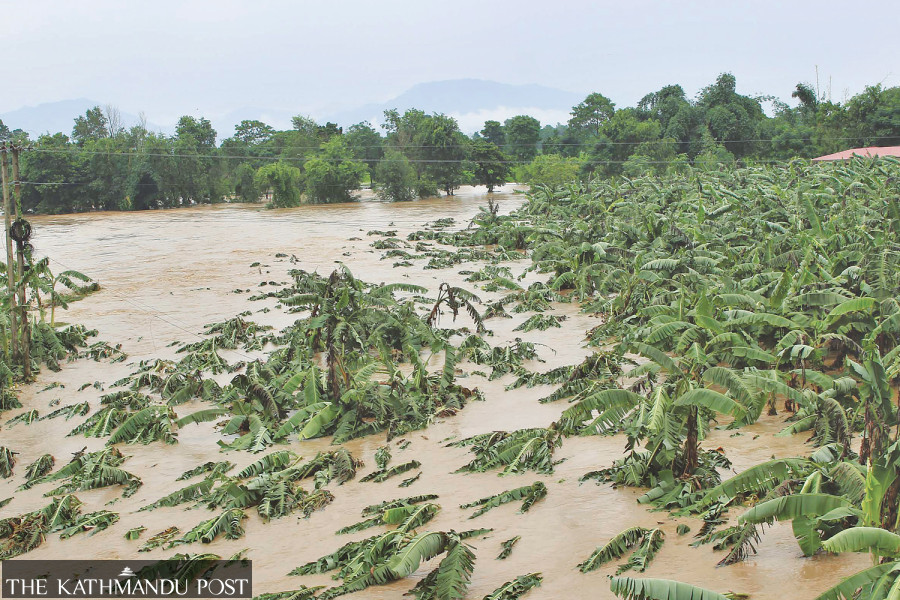 Food security and climate resilience
