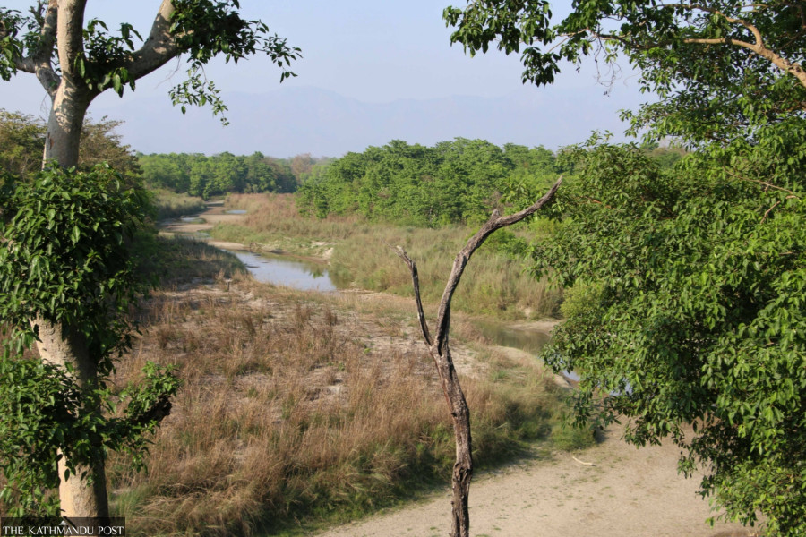 In Bardiya, wildlife and farmers hit hard as water sources deplete