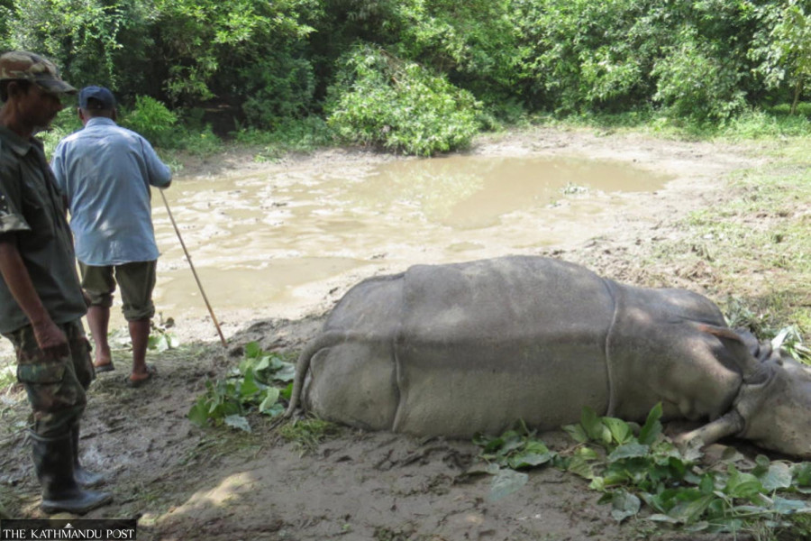 Ten rhinos found dead in Chitwan National Park since July