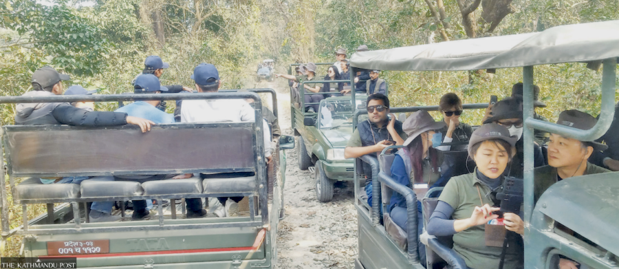 Wildlife draws record tourists, alarms conservationists