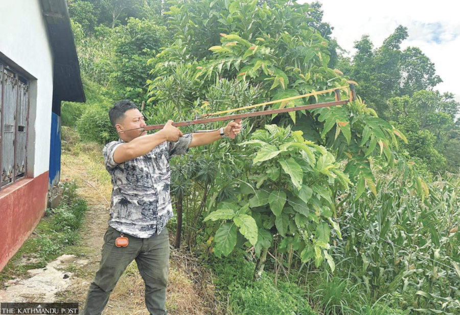 ‘Modern slingshot’ to tackle monkey menace