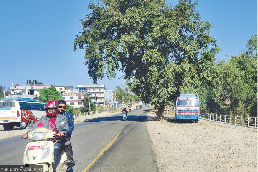 Standing trees on the road turn BP Highway road section in Bardibas into hazard zone