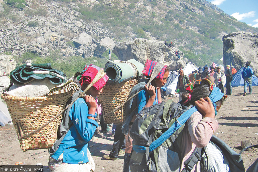 Illegal yarsa collectors taking risky routes to mountain grasslands give officials headache