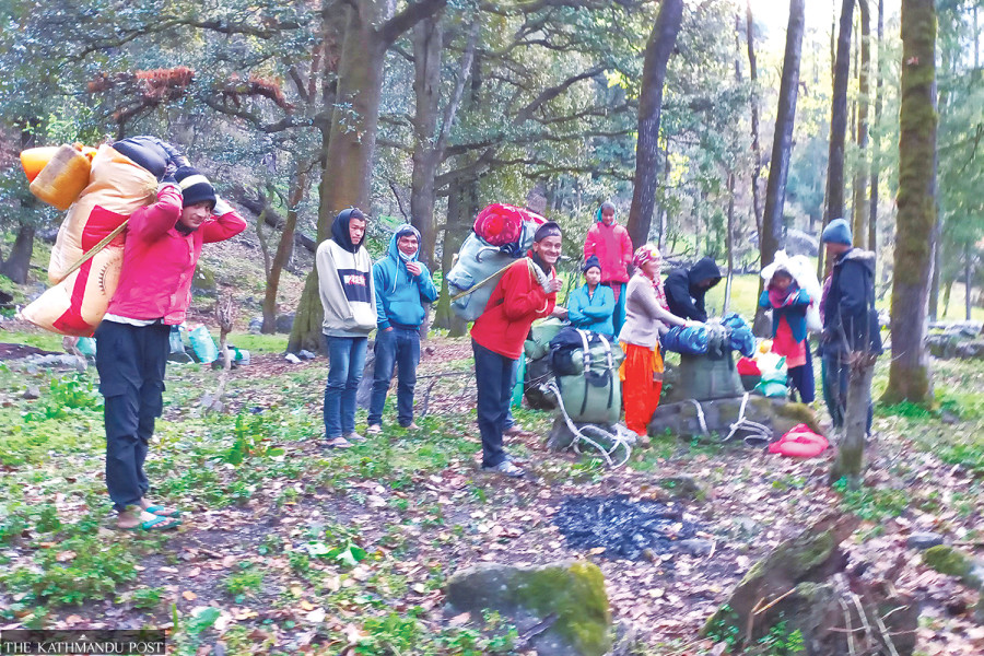 People flock to Bajhang highlands for yarsagumba harvest