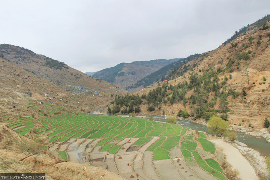 Post-winter rain and snow bring joy to Jumla farmers