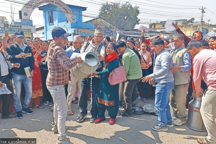 Troubled dairy farmers seek government support