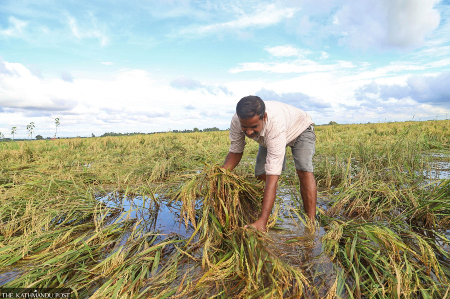Nepal’s agriculture, water resources under climate threat
