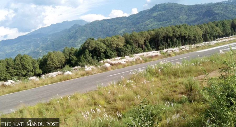 Airport remains unused despite paved runway, grass takes over