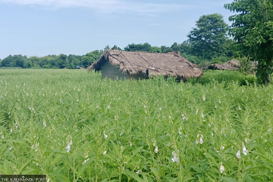 22 years and 33 panels later, Shuklaphanta displaced families still in limbo