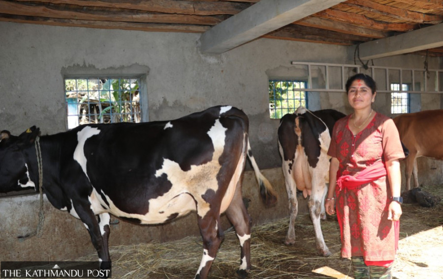 Women farmers convince husbands to quit foreign jobs
