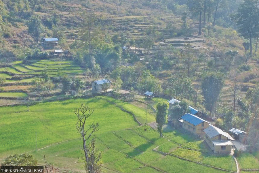 Rising wildlife attacks forcing residents to flee villages bordering Banke National Park
