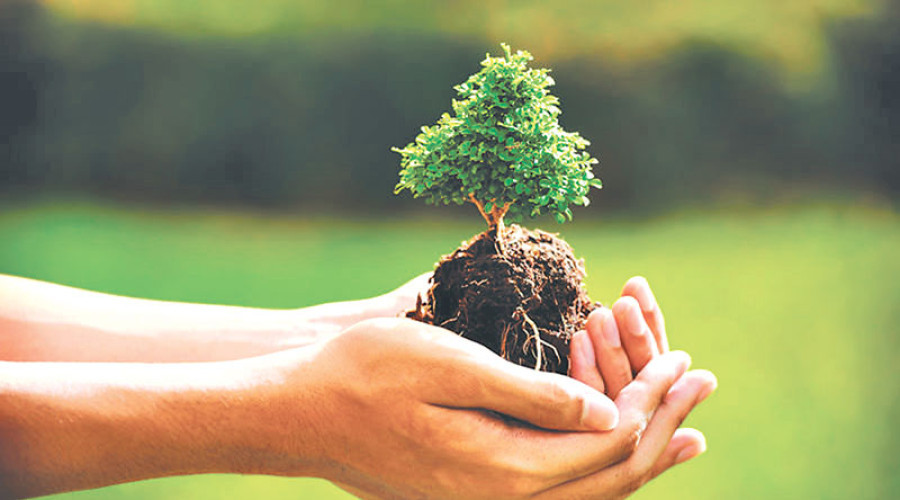 Localising climate action
