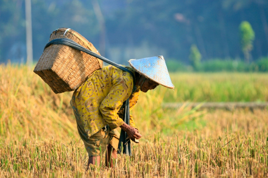 Bearing the brunt of climate change