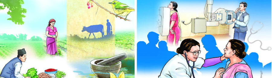 Governance gaps in health and agriculture