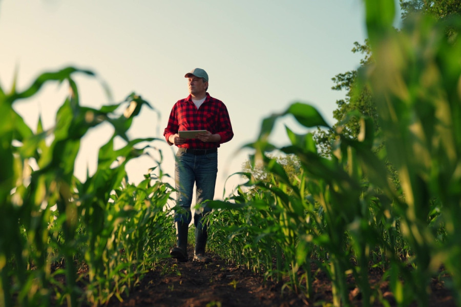 Farmer suicides and climate change