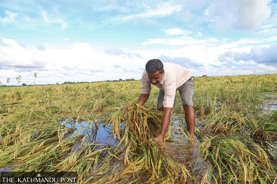 Rethinking Nepal’s agriculture development
