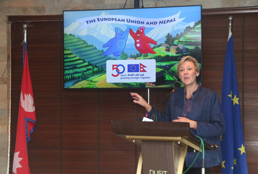 Seven years is not a long time for federalism’s institutionalisation, EU envoy says