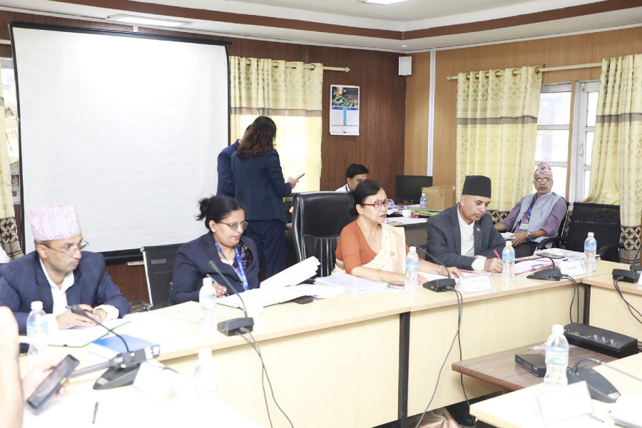 Government under fire for ignoring inclusiveness in envoy picks