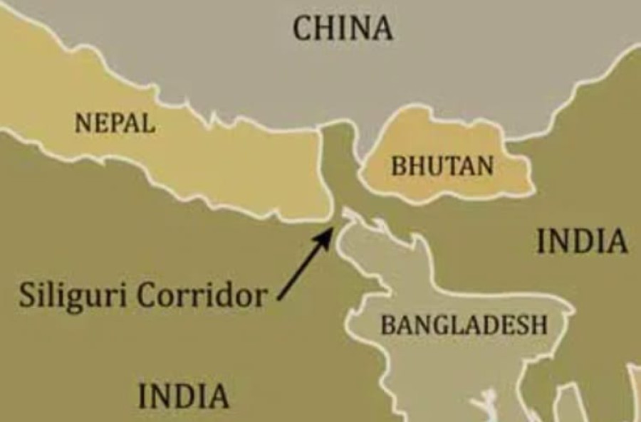 Elephants on the move