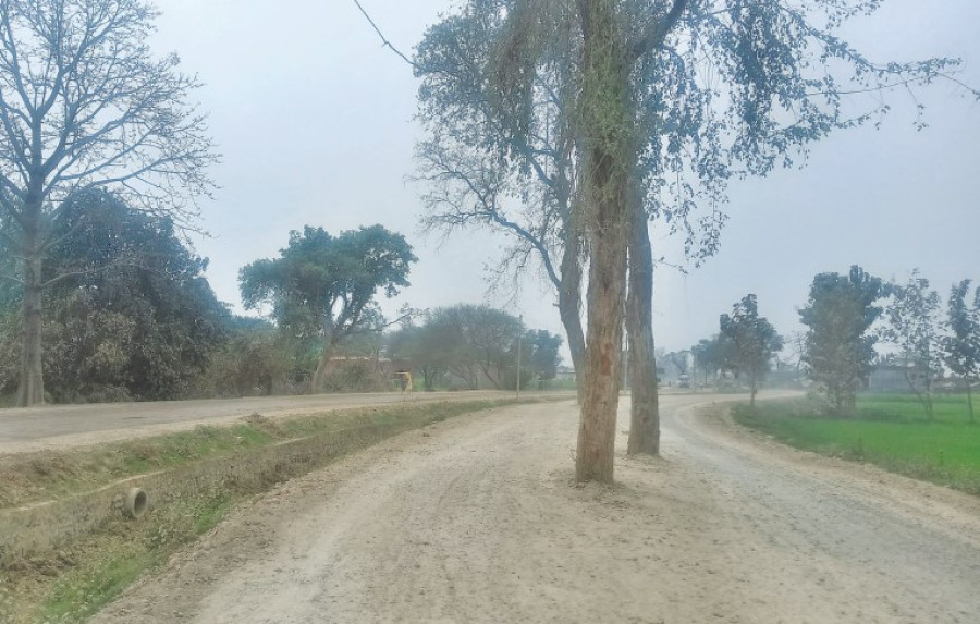 Indecision by authorities over felling roadside trees delays four-lane road in Marchawar area